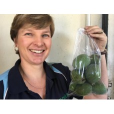 SPRAY FREE FEIJOAS 1KG Bag KATIKATI GROWN
