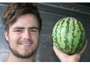 WATERMELON MEDIUM Size Northland Grown WATERMELON MEDIUM Size Northland Grown