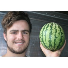 WATERMELON LARGE Size Northland Grown 