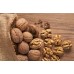 SPRAY FREE WALNUTS  500 Gram Bag Katikati Grown