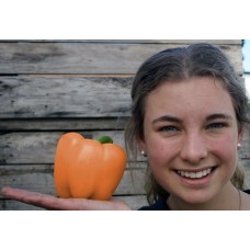ORANGE CAPSICUM Each LARGE Pukekohe Grown