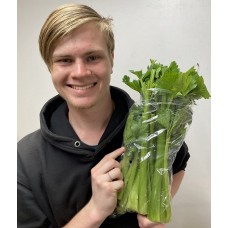 HALF CELERY IN BAG LEVIN Grown