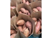 BEAU REGARD KUMARA 1.3 KG Bag Small to Medium Size NORTHLAND Grown